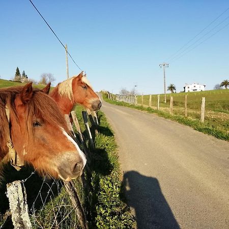 Agroturismo Pagoederraga Orio Zewnętrze zdjęcie