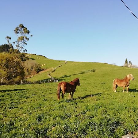 Agroturismo Pagoederraga Orio Zewnętrze zdjęcie