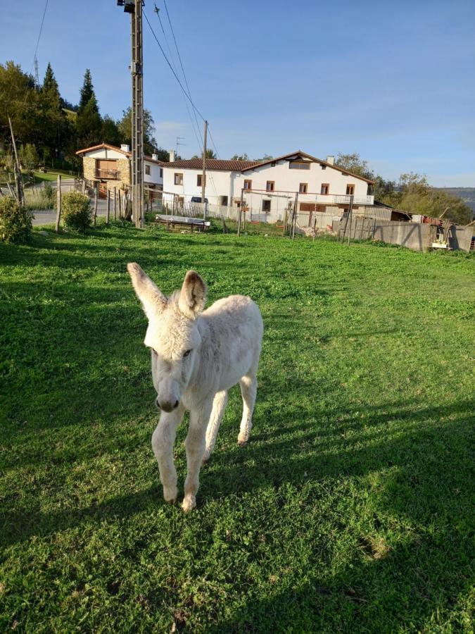 Agroturismo Pagoederraga Orio Zewnętrze zdjęcie