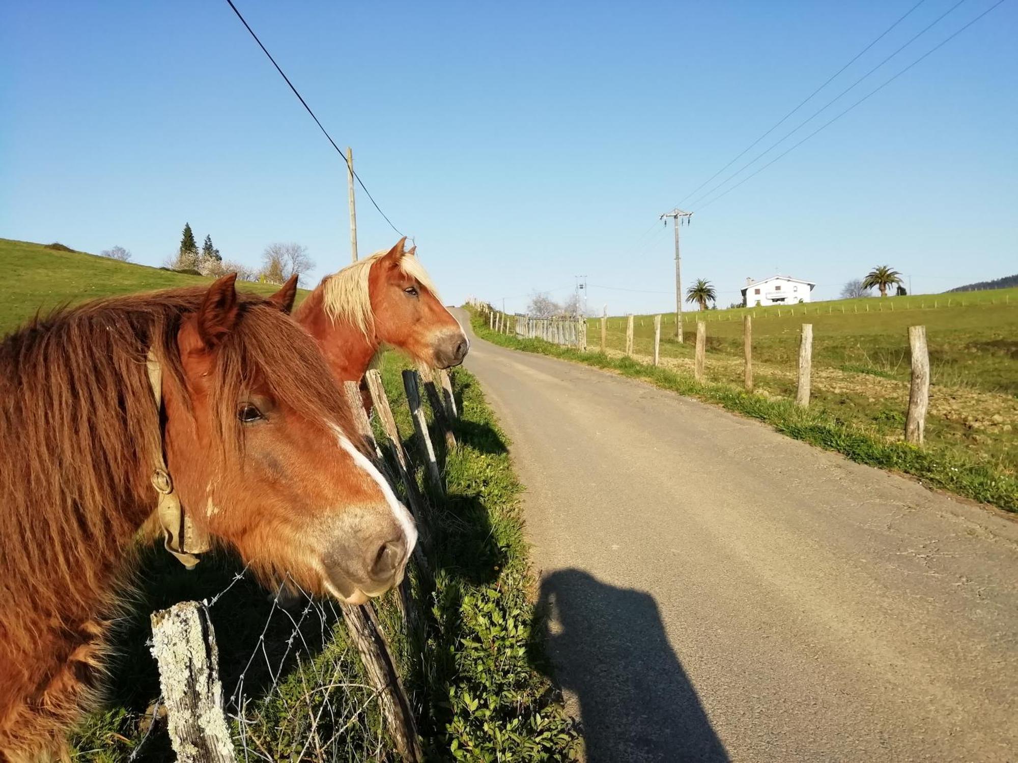 Agroturismo Pagoederraga Orio Zewnętrze zdjęcie