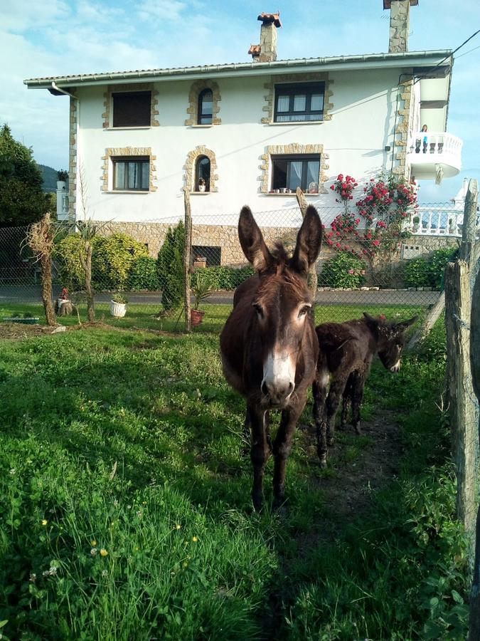Agroturismo Pagoederraga Orio Zewnętrze zdjęcie