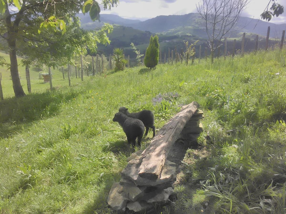 Agroturismo Pagoederraga Orio Zewnętrze zdjęcie