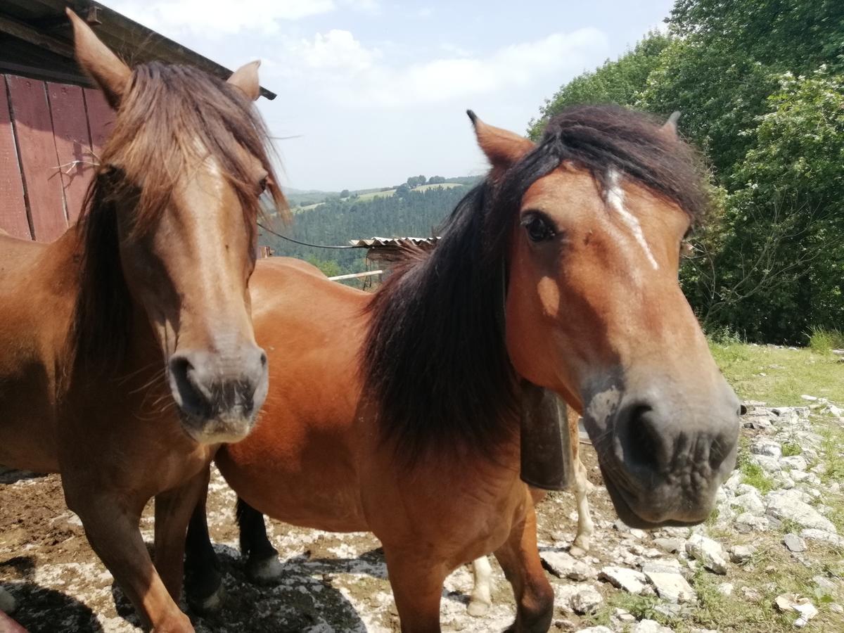 Agroturismo Pagoederraga Orio Zewnętrze zdjęcie