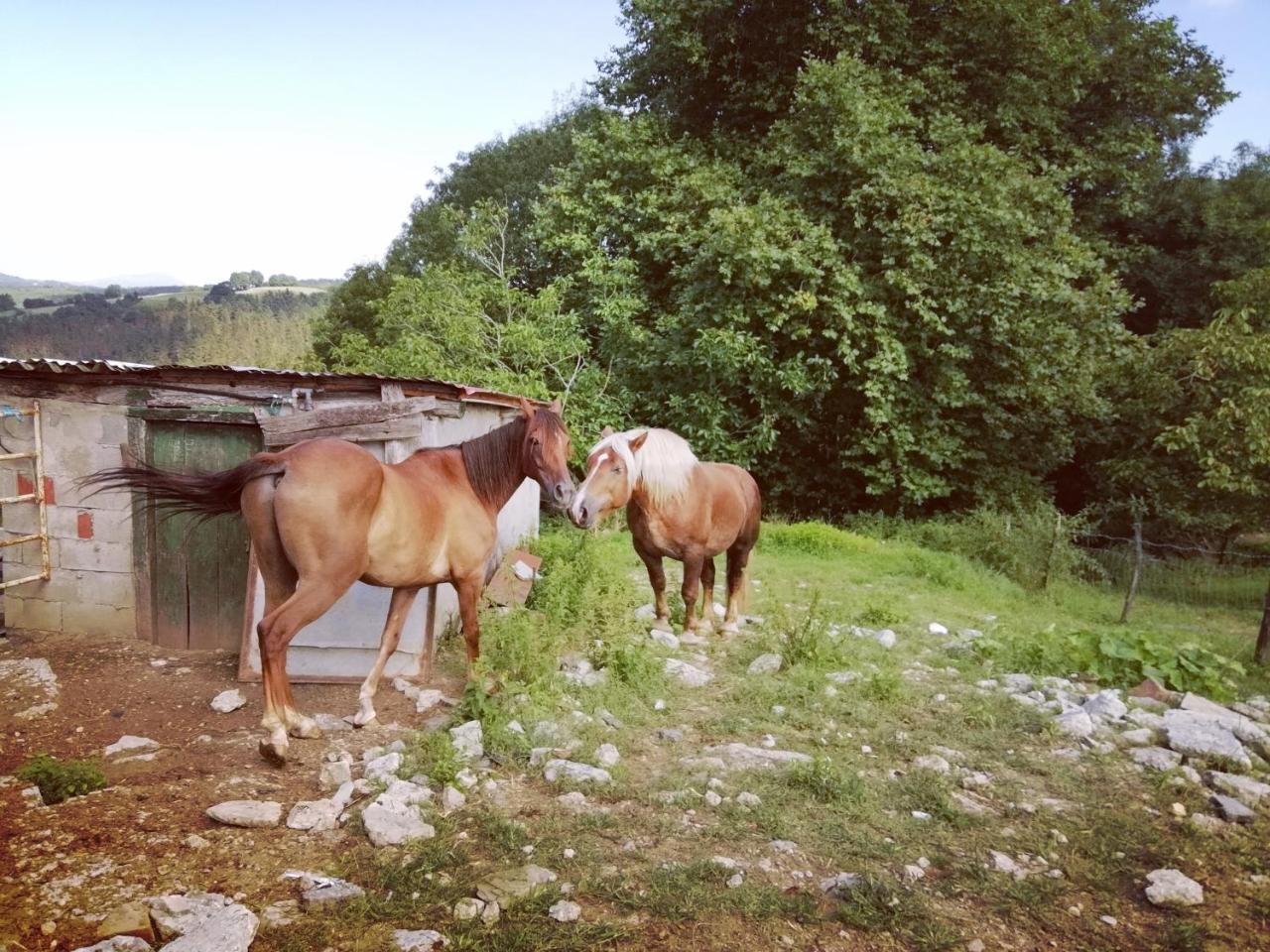 Agroturismo Pagoederraga Orio Zewnętrze zdjęcie